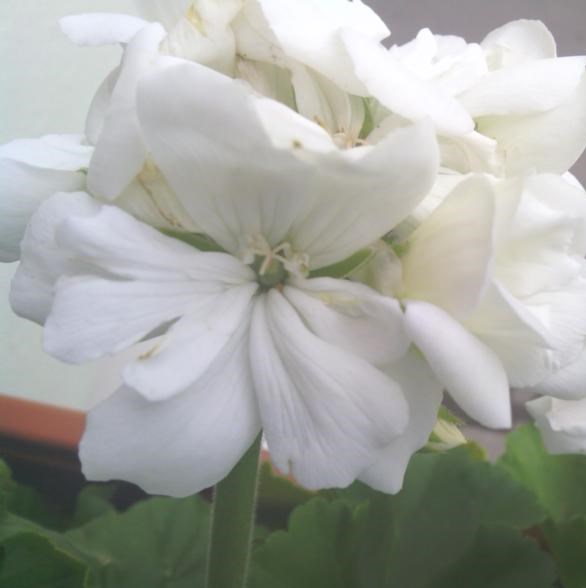 Der Frühling ist angekommen!