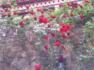 Theo Grepper an der Marienburg  (1)